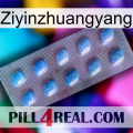 Ziyinzhuangyang viagra3